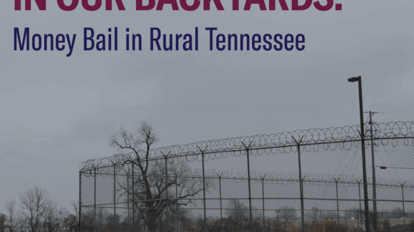 Barbed wire in the distance of a stormy sky, with yellowing grass