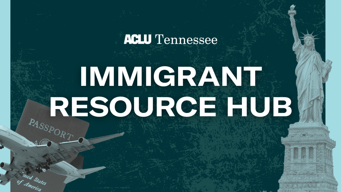 banner for immigrant resource hub webpage