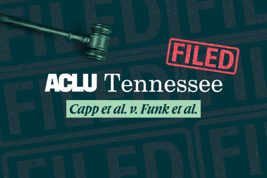 icon for lawsuit